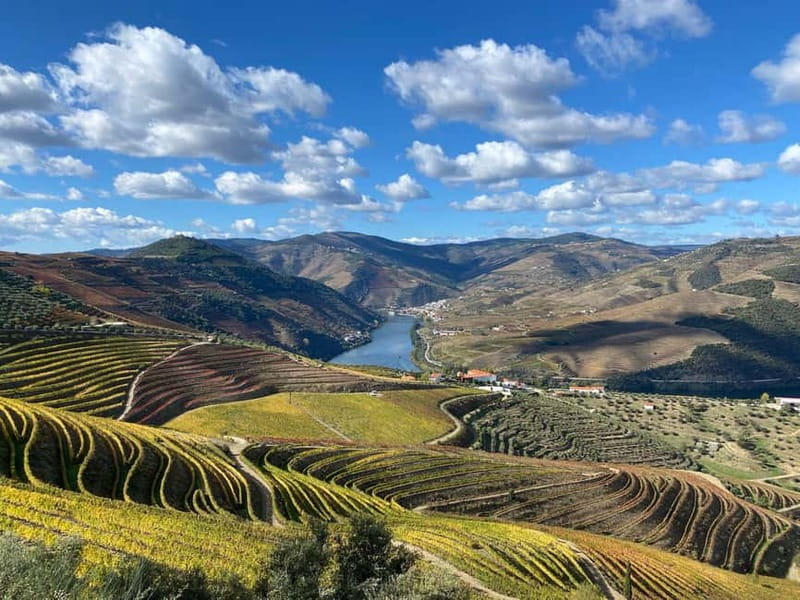 DOURO VALLEY: Premium Wine Tour, Winery Lunch & Private Boat - The Douro Valley’s Breathtaking Viewpoints and Photo Stops