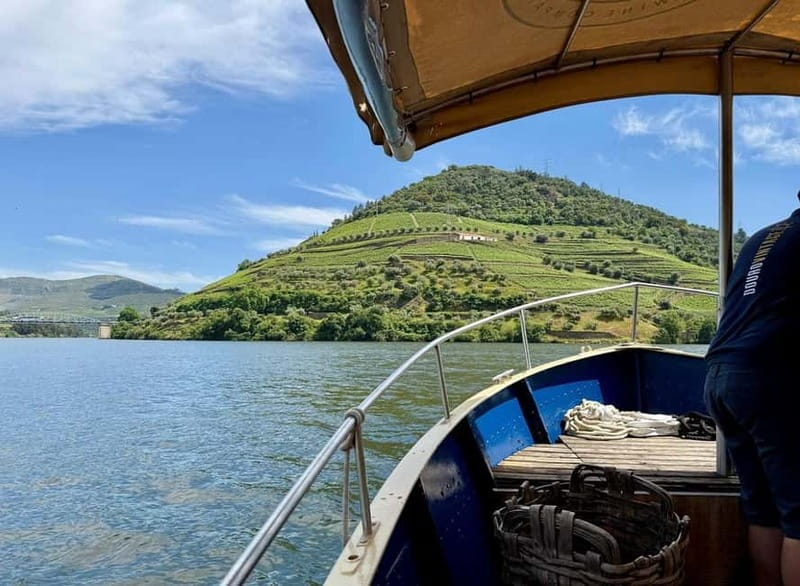 DOURO VALLEY: Premium Wine Tour, Winery Lunch & Private Boat - End of the Day and Return to Porto