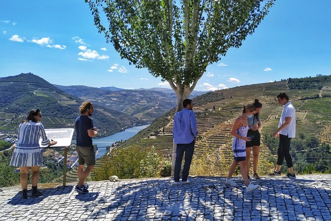 Douro Valley Prime Tour: Wine Tastings, Boat and Lunch from Porto - Authentic Portuguese Lunch at a Local Winery