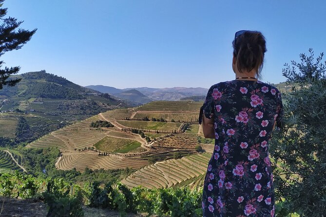 Douro Valley Prime Tour: Wine Tastings, Boat and Lunch from Porto - Guided Explanation and Personal Touches