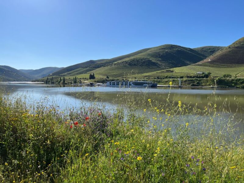 Douro Valley: Private Airplane Tour Around the River Douro - What to Bring and Who Should Avoid This Tour