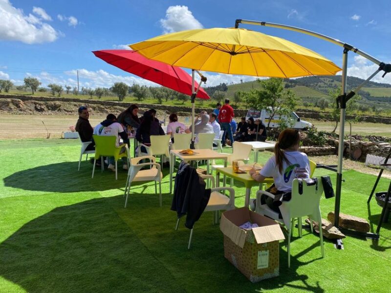 Douro Valley: Private Airplane Tour Around the River Douro - Why This Tour Stands Out in the Douro Region