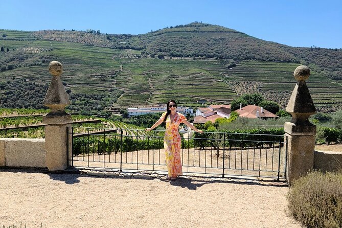 Douro Valley-Private Experience-Specialized Guide, Lunch, Boat,wineries,tastings - Traditional Portuguese Lunch with Vineyard Views