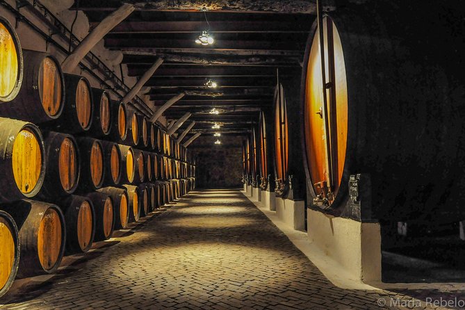 Douro Valley Private Full-Day Tour from Porto - Key Points