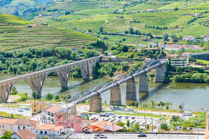 Douro Valley Private Full-Day Tour from Porto - Authentic Portuguese Lunch in a Charming Village