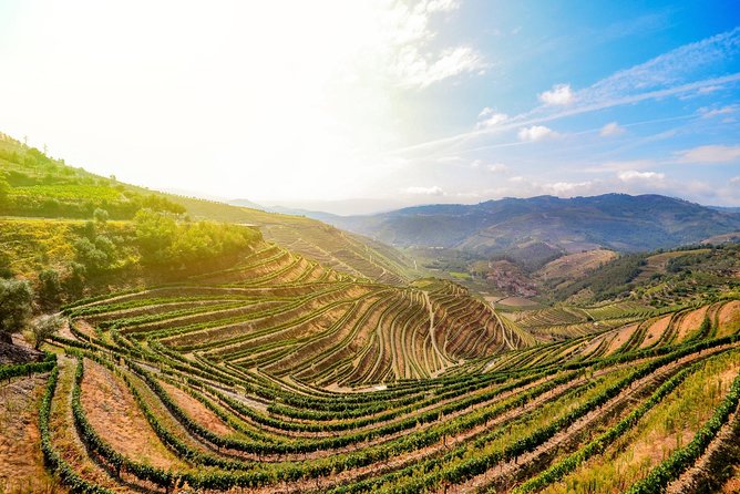 Douro Valley Private Full-Day Tour from Porto - Who Will Enjoy This Tour Most