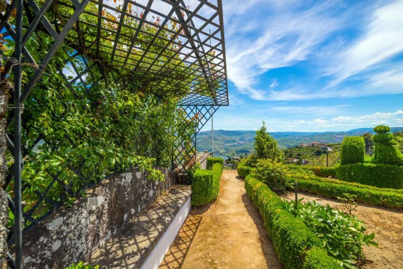 Douro Valley: Private Lunch with Wine & Olive Oil Tasting - Who Will Most Enjoy This Tour