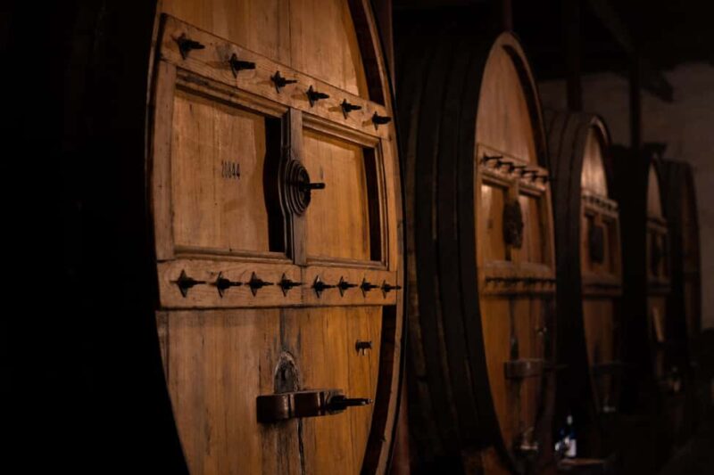 Douro Valley: Private Lunch with Wine & Olive Oil Tasting - Douro Valley Private Lunch with Wine & Olive Oil Tasting: Final Thoughts