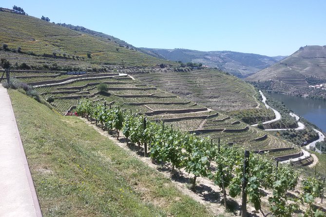 Douro Valley Private Premium Tour with Wine Tasting (1 to 4 people) - Cultural Highlights: Pinhaos Tile-Lined Train Station