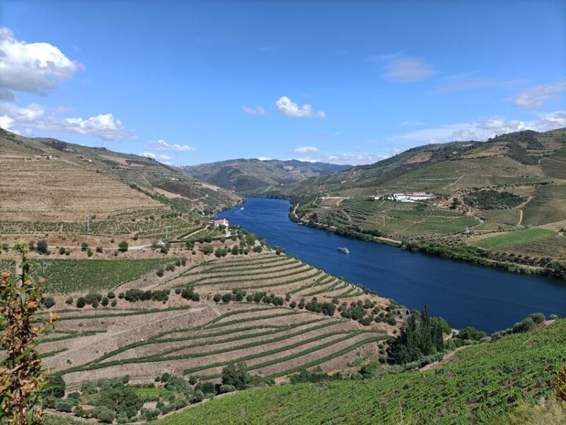 Douro Valley: Private Sommelier Tour with 3 Wineries & Lunch - Discover the Authentic Douro Valley Wine Experience with a Private Guide