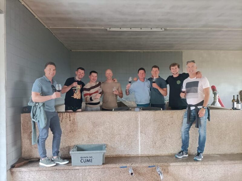 Douro Valley: Private Sommelier Tour with 3 Wineries & Lunch - Key Points