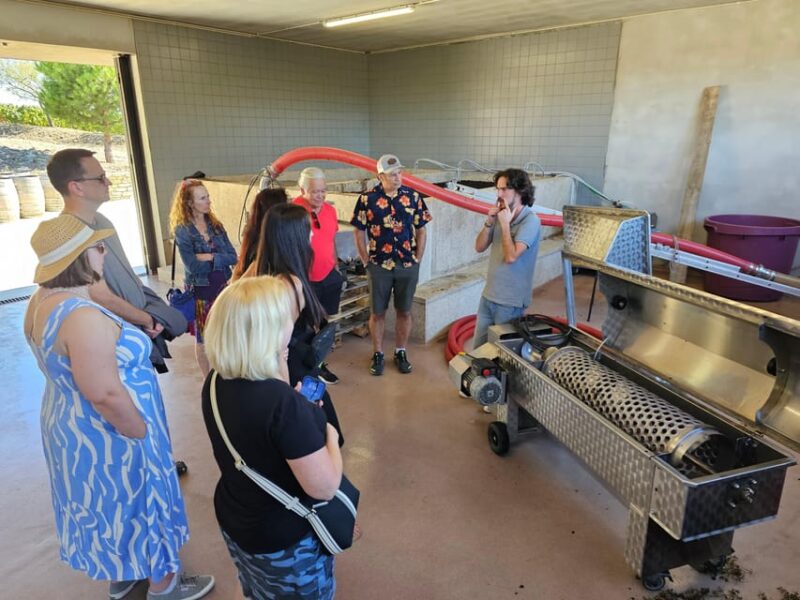 Douro Valley: Private Sommelier Tour with 3 Wineries & Lunch - Authentic Portuguese Lunch at a Local Restaurant