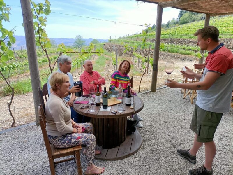 Douro Valley: Private Sommelier Tour with 3 Wineries & Lunch - Optional Add-ons: Boat Ride and Sparkling Wine