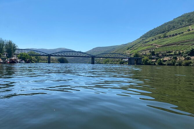 Douro Valley Private Tour: 2 Farms, Lunch & Boat Trip - Lunch at a Douro Wine Farm: Flavors and Tasting