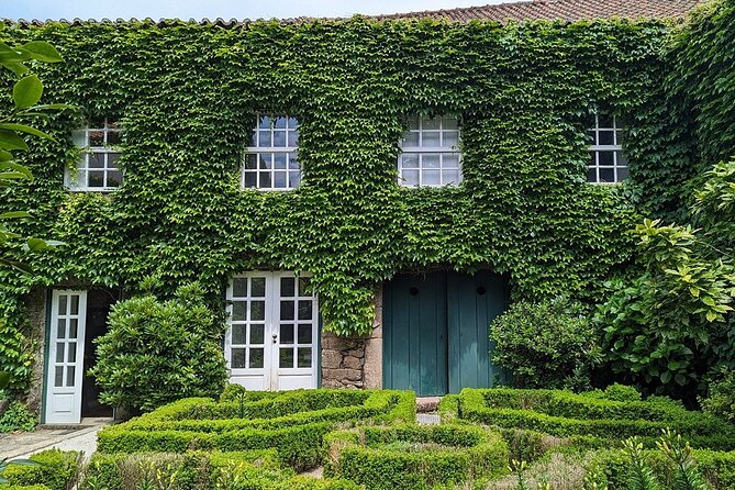 Douro Valley Private Tour: 2 Farms, Lunch & Boat Trip - Guided Visit to a Douro Vineyard: Olive Oil and Honey