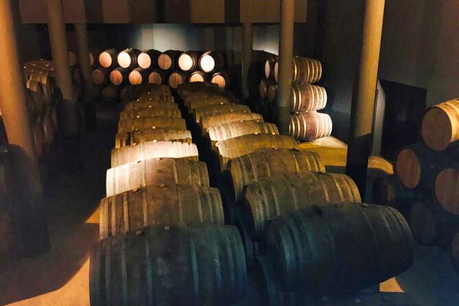 Douro Valley Private Tour: 2 Farms, Lunch & Boat Trip - Practical Logistics and Inclusions