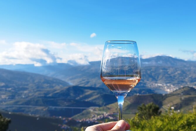 Douro Valley private tour full day - Admiring the Douro Valley from Casal de Loivos Viewpoint