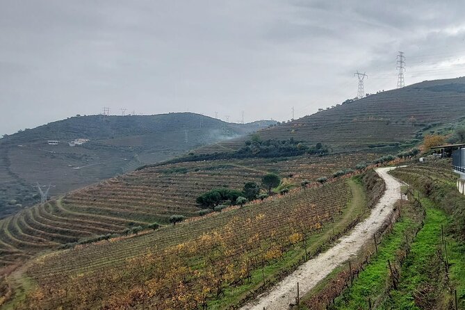 Douro Valley private tour full day - Additional Surprises and Authentic Experiences