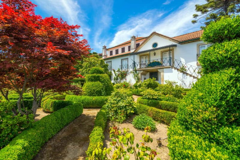 Douro Valley: Private Tour & Guided Wine & Olive Oil Tasting - Key Points