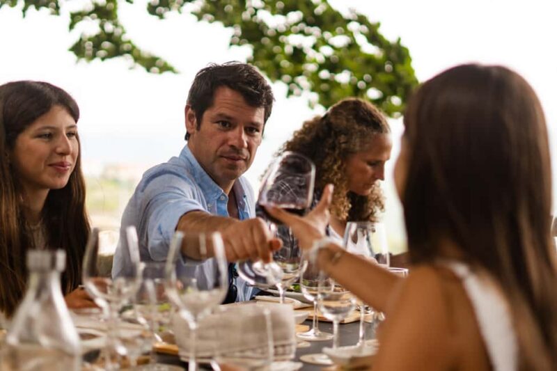 Douro Valley: Private Tour & Guided Wine & Olive Oil Tasting - The Feel of the Tour: Unhurried and Personal