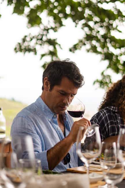 Douro Valley: Private Tour & Guided Wine & Olive Oil Tasting - The Value for Money and Booking Flexibility