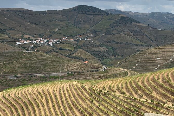 Douro Valley private tour includes wine tasting and boat trip - Discovering Amarante: A Picturesque Beginning