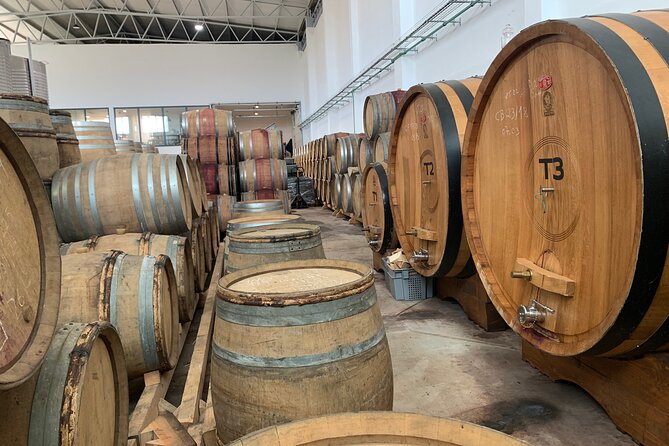 Douro Valley private tour includes wine tasting and boat trip - Comfortable Transportation with Modern Conveniences