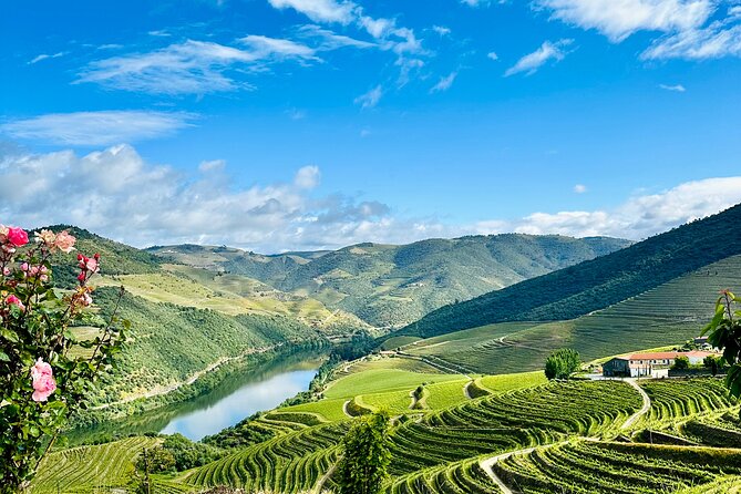 Douro Valley private tour includes wine tasting and boat trip - Flexibility and Convenience with Pickup and Cancelation Policies