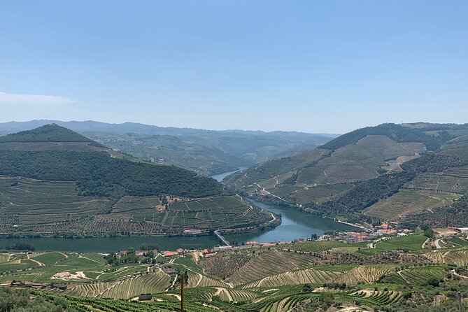 Douro Valley private tour includes wine tasting and boat trip - What Makes This Tour Stand Out?