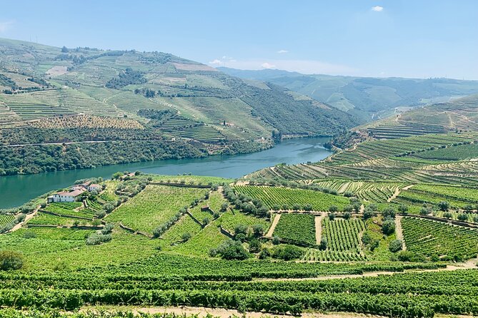Douro Valley private tour includes wine tasting and boat trip - Considerations and Who Will Enjoy It Most