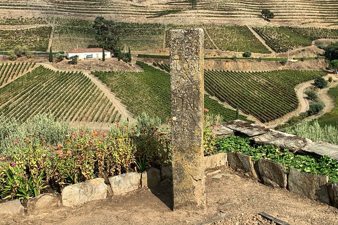 Douro Valley private tour includes wine tasting and boat trip - Douro Valley Private Tour: A Practical and Impressive Day Out