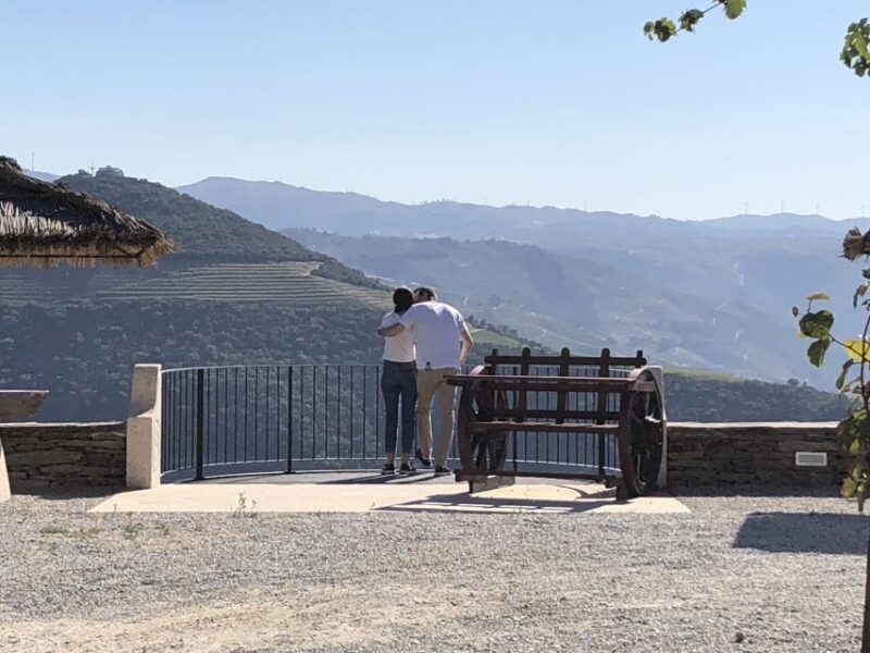 Douro Valley Private Tour - Explore the Douro Valleys Central Connection to Porto