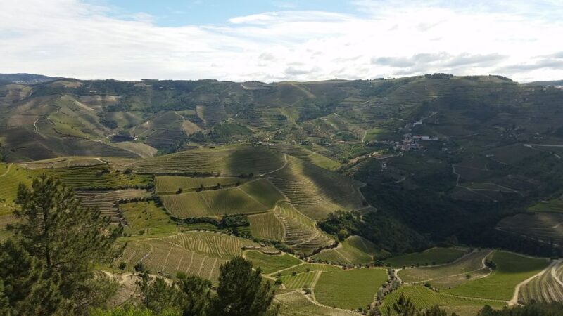 Douro Valley Private Tour - Scenic Boat Ride on the Douro River in a Barco Rabelo