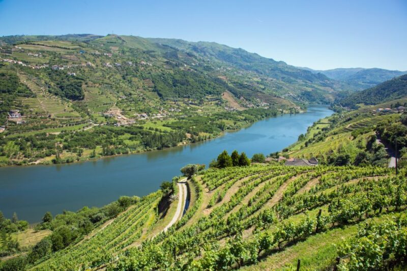 Douro Valley Private Tour - Why Choose the Douro Valley Private Tour?