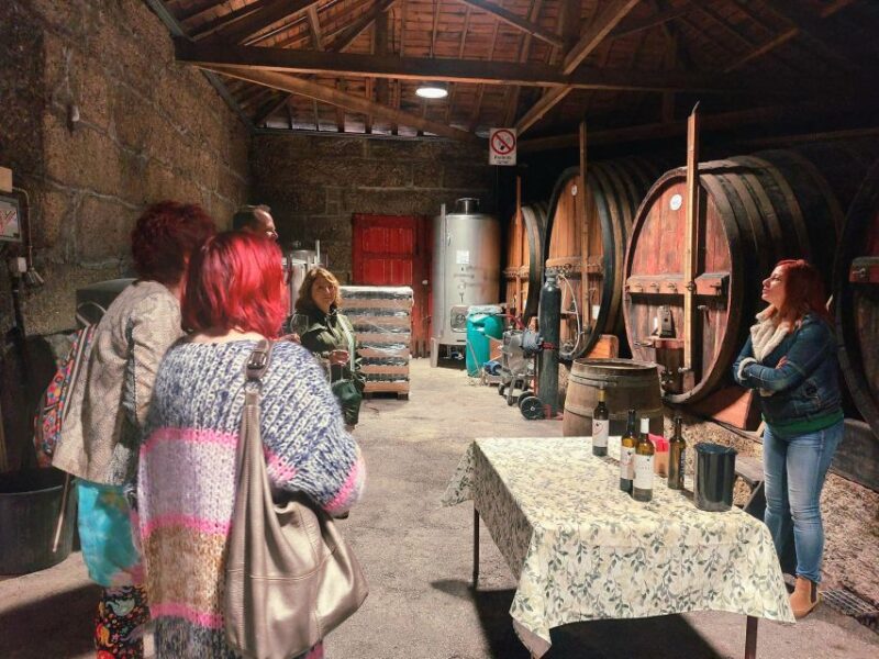 Douro Valley private tour & wine experience including lunch - Practical Details and Group Size