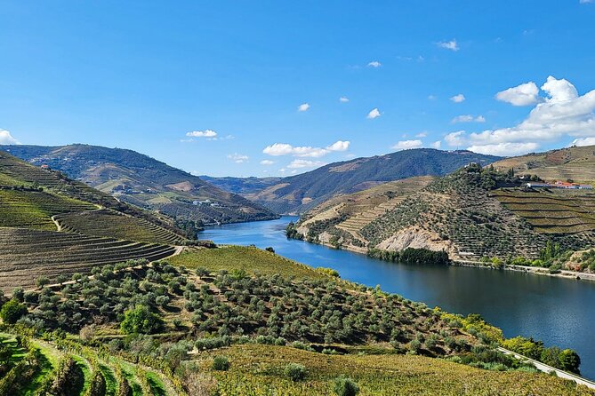 Douro Valley Private Tour (winery + boat + viewpoint) - Experience the Douro Valley in a Personal and Authentic Way