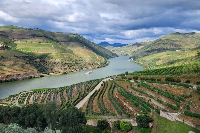 Douro Valley Private Tour (winery + boat + viewpoint) - Enjoying a One-Hour Rabelo Boat Trip on the Douro River