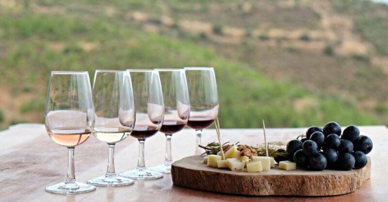 Douro Valley Private Tour with 2 wine tastings - Discover the Douro Valley on a Private Wine Tour from Porto for $409