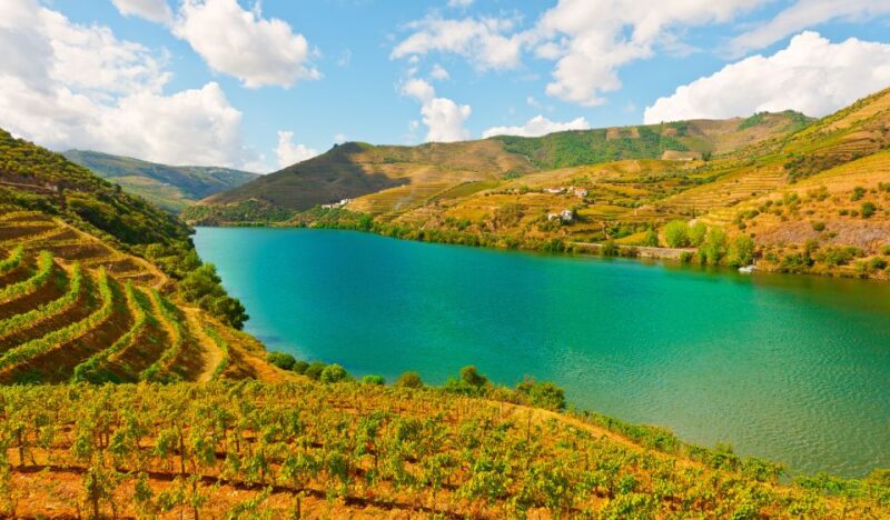 Douro Valley Private Tour with 2 wine tastings - Key Points