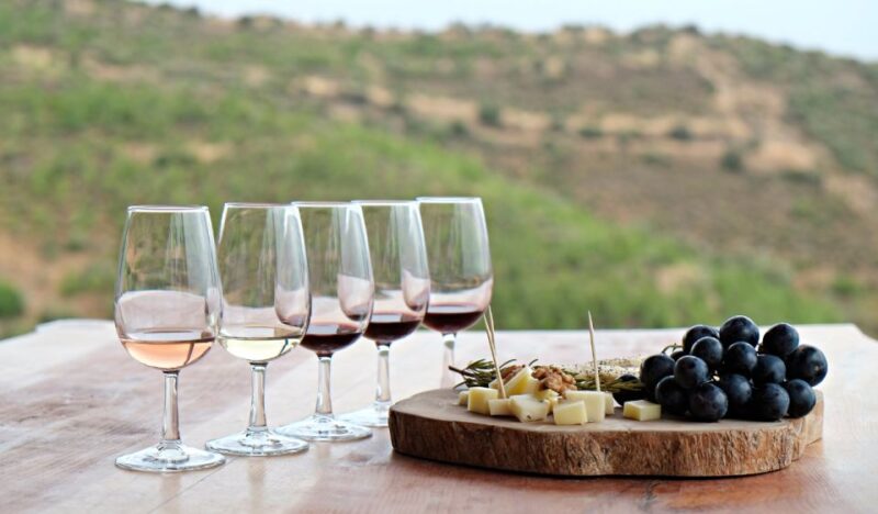 Douro Valley Private Tour with 2 wine tastings - Flexibility with Booking and Cancellation Policies