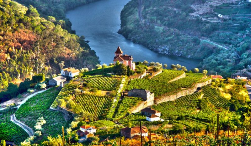 Douro Valley Private Tour with 2 wine tastings - What Sets This Tour Apart from Others