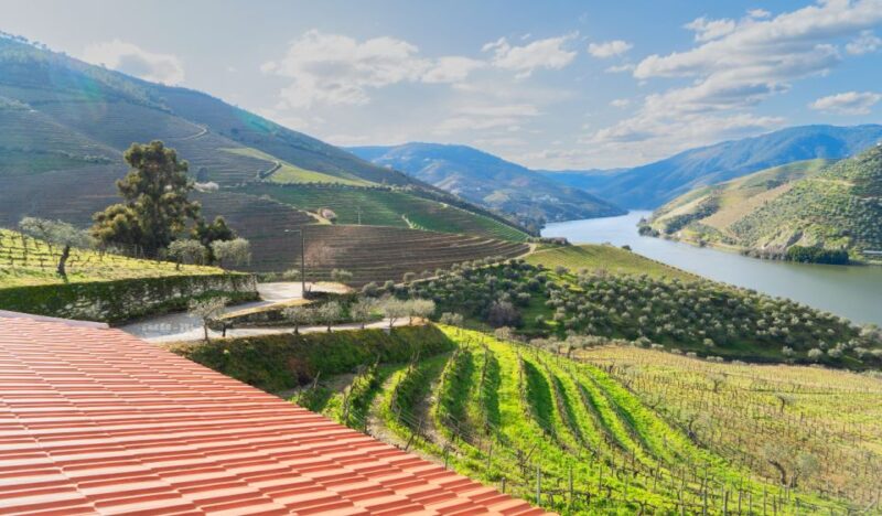Douro Valley Private Tour with 2 wine tastings - Who Will Enjoy This Tour Most?