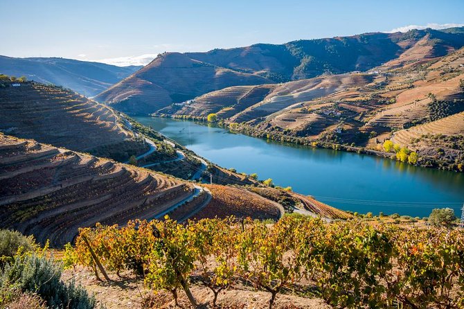 Douro Valley: private tour with lunch and wine estate all inclusive - Key Points