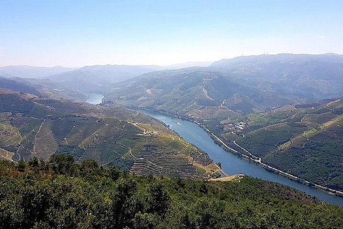 Douro Valley: private tour with lunch and wine estate all inclusive - Authentic Portuguese Lunch in the Heart of the Douro