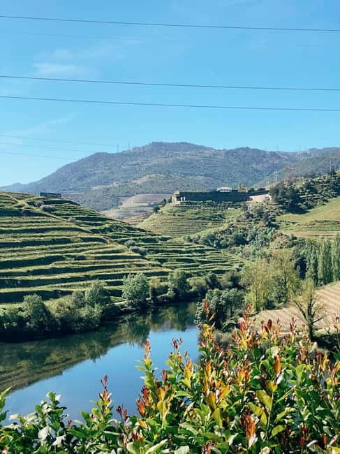 Douro Valley: PRIVATE TOURS with 1 Wine Tasting - Lunch in Pinhão: A Traditional Portuguese Meal