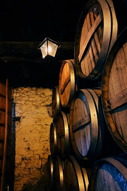 Douro Valley: PRIVATE TOURS with 1 Wine Tasting - Who Will Enjoy This Tour Most?