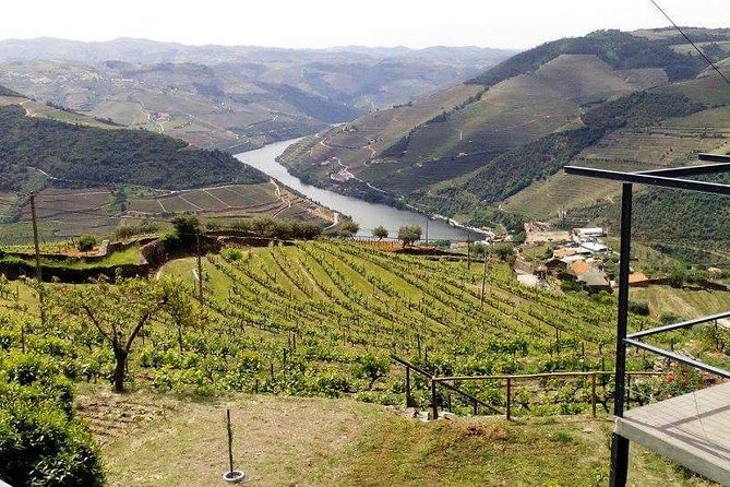Douro Valley Private Wine Tour from Lisbon - Authentic Lunch in a Quaint Village