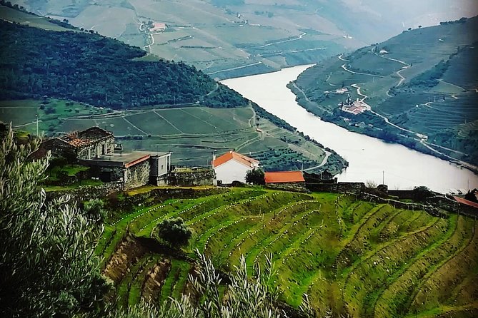 Douro Valley Private Wine Tour from Lisbon - The Drive Back to Lisbon and Final Drop-off