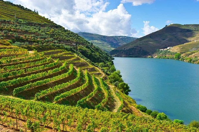 Douro Valley Private Wine Tour From Porto - Key Points
