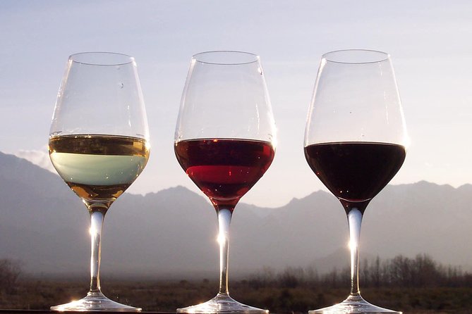 Douro Valley Private Wine Tour From Porto - Meet Your Guide and Transportation in Porto